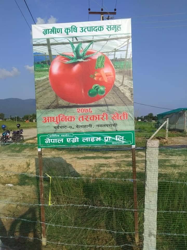 Technical Support of Nepal Agro Live Pvt. Ltd and inauguration program by Seedling Plantation